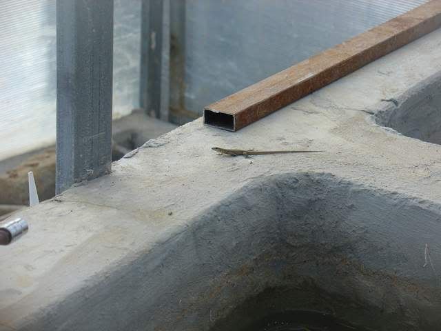 DSC04811.jpg