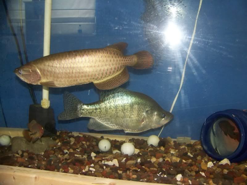 100_2862.jpg