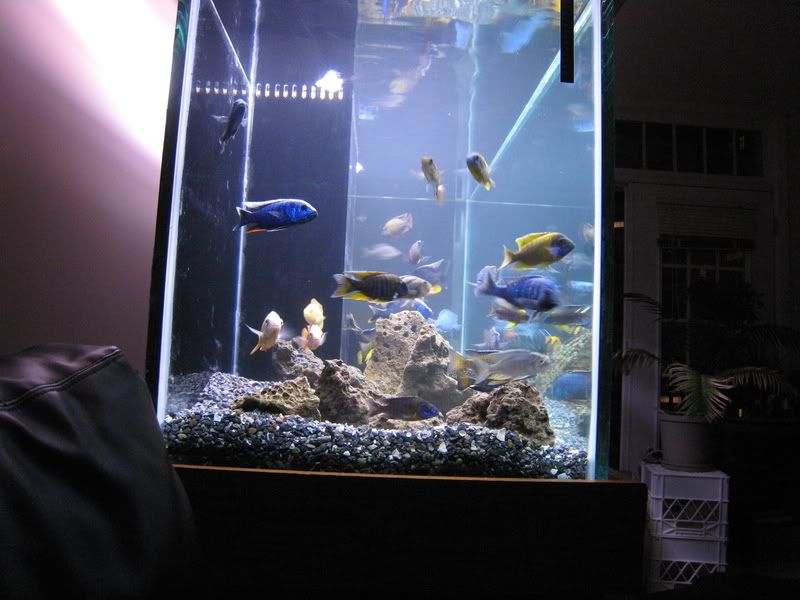 IMG_4289.jpg