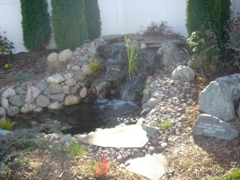Waterfall2.jpg