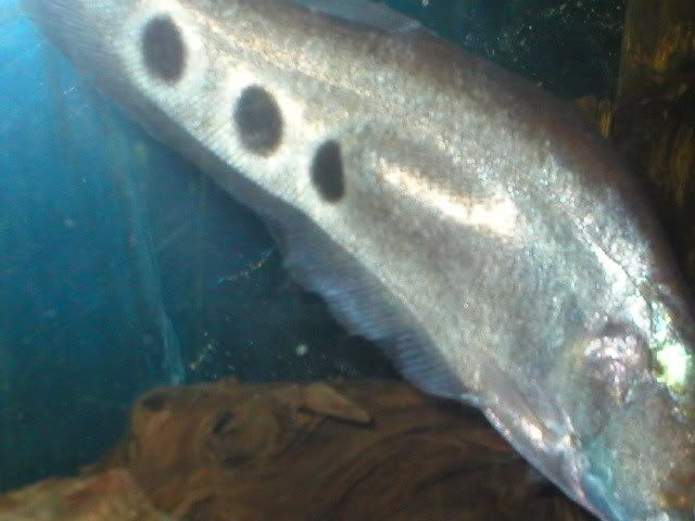 P1010001.jpg
