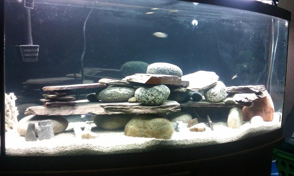 IMAG0294.jpg