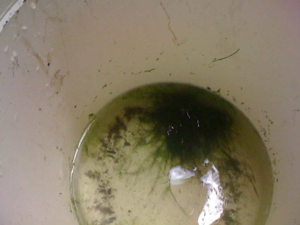 Picture1050.jpg