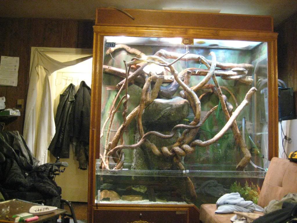 IMG_0989.jpg