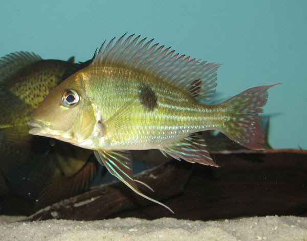eae8849e.jpg