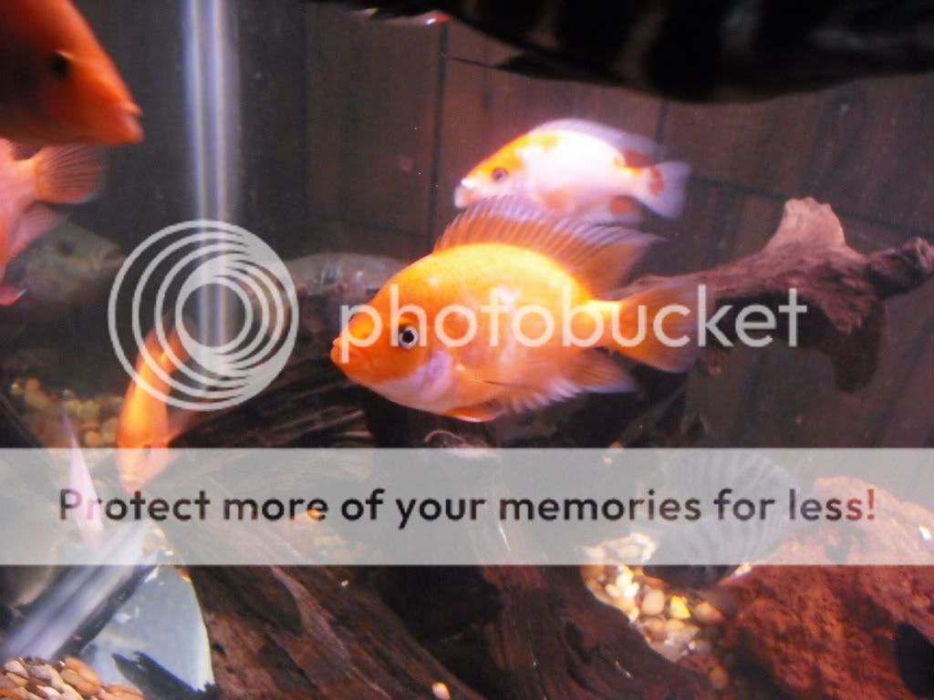 DSCF2045.jpg