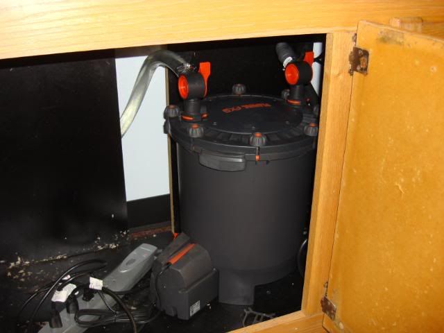 DSC02791.jpg