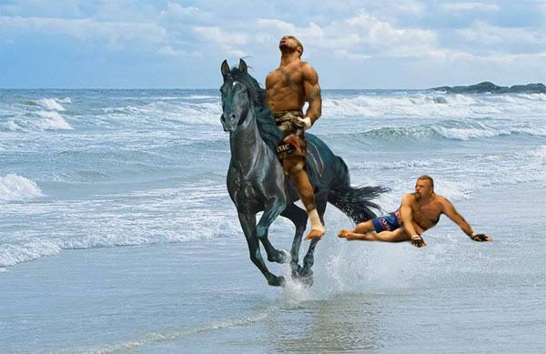 horsey.jpg