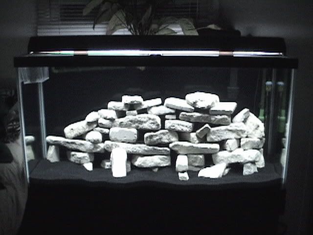 DSC00147.jpg