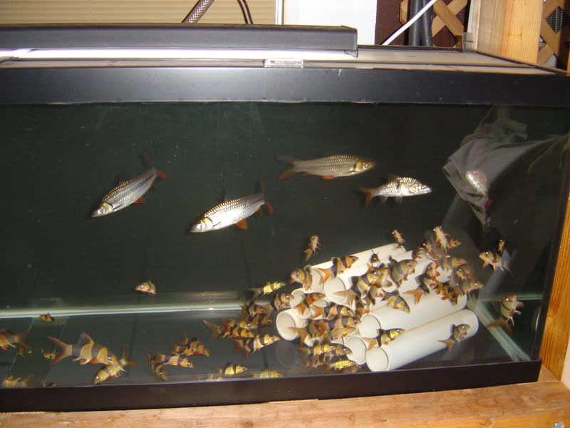 10-18-08005.jpg
