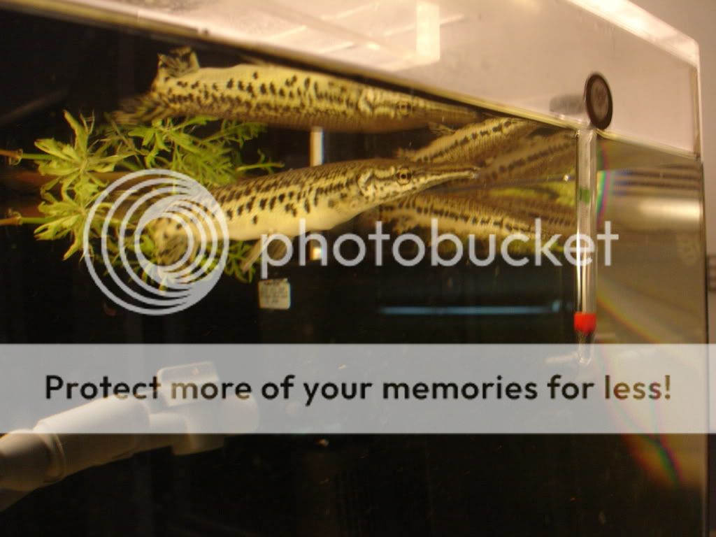 DSC04327.jpg