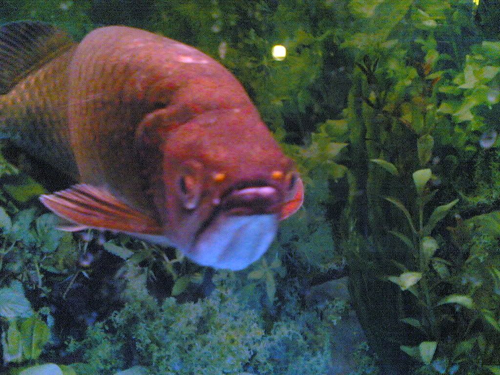 29092005003.jpg