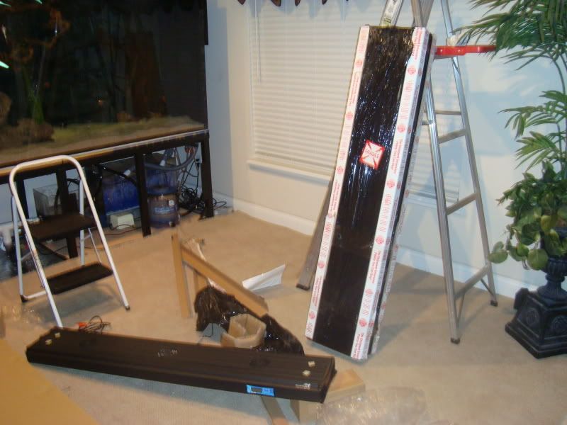 021-1.jpg