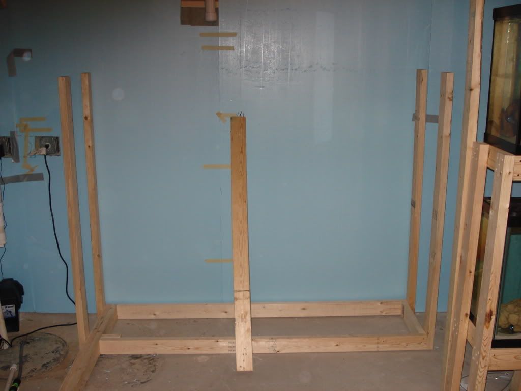 DSC01932.jpg
