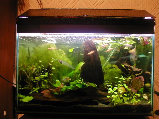 Picture056.jpg