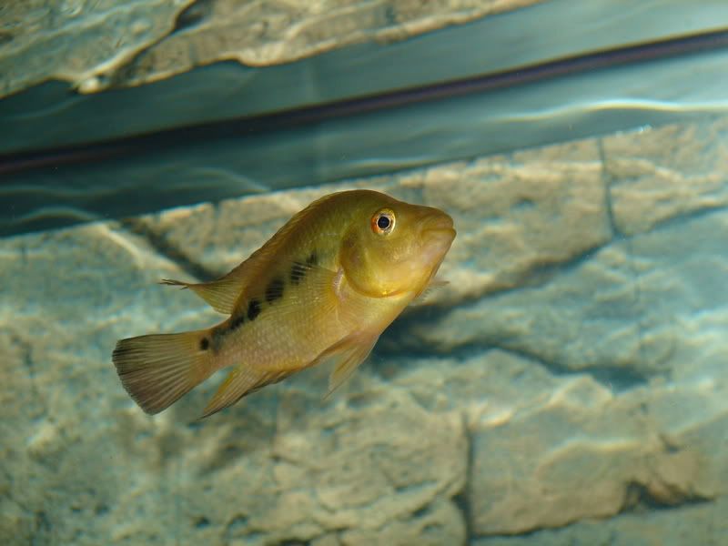 DSC08169.jpg