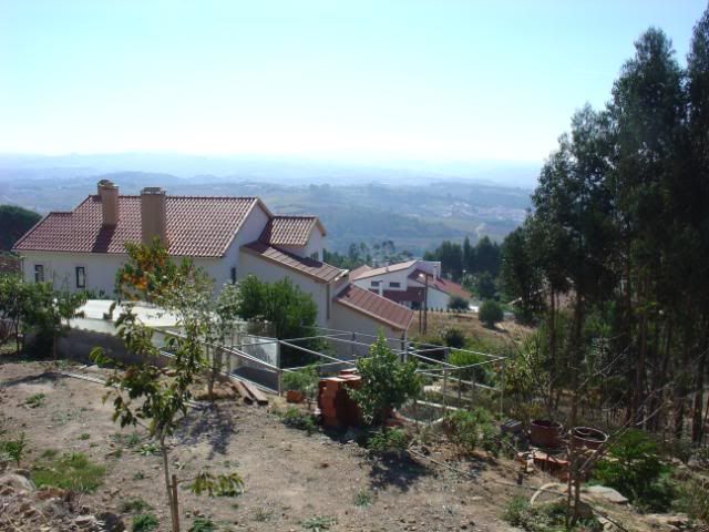 DSC08535.jpg