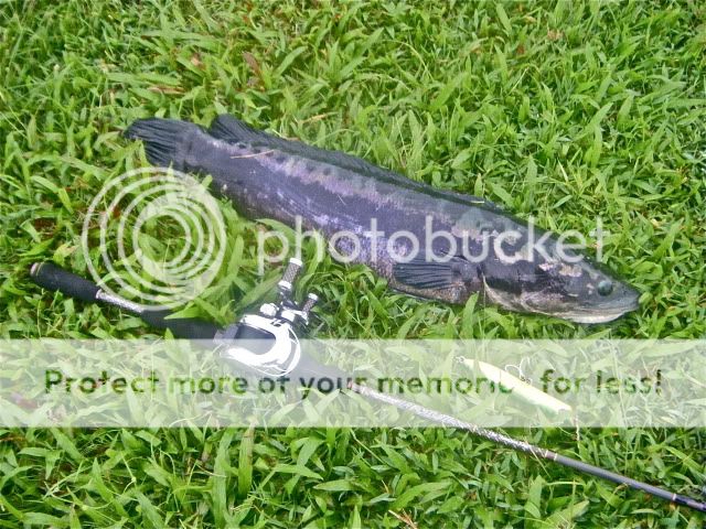 DSCF7570.jpg