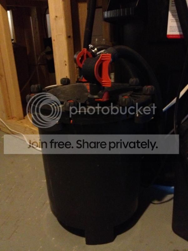 IMG_5481_zps01f14aa4.jpeg