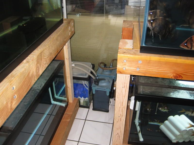 3-17-09045.jpg