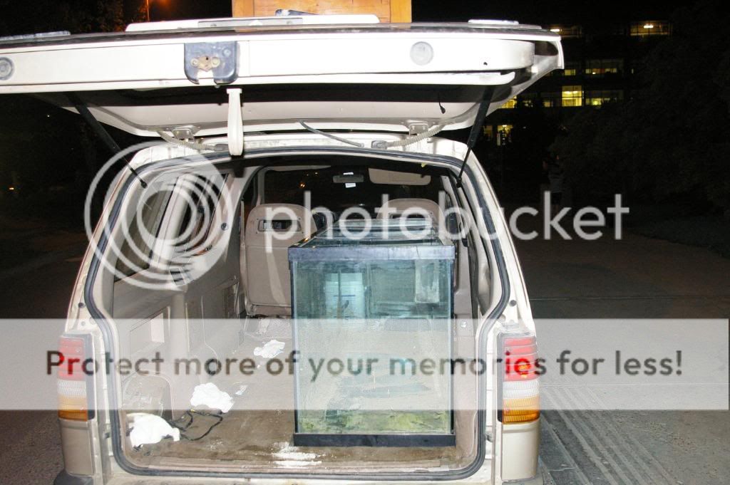 IMGP5130.jpg