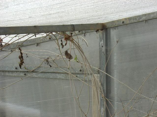 DSC09338.jpg