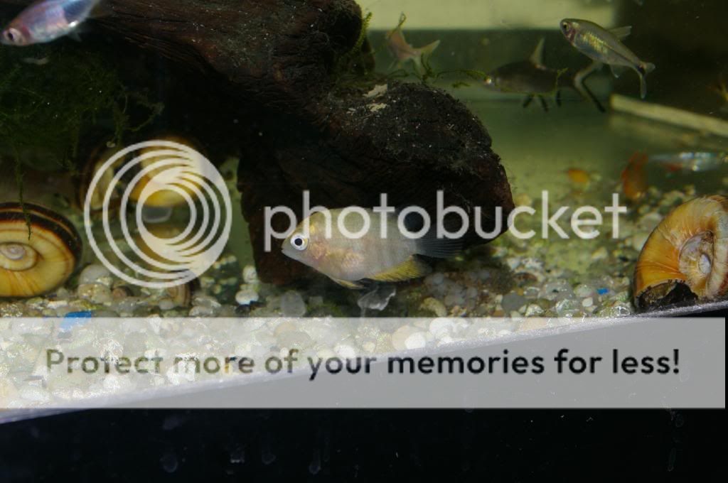 IMGP3228.jpg
