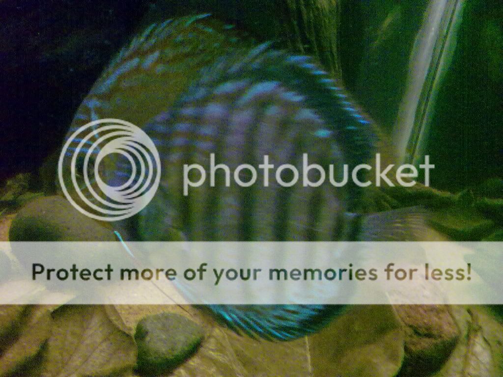 11062009200.jpg