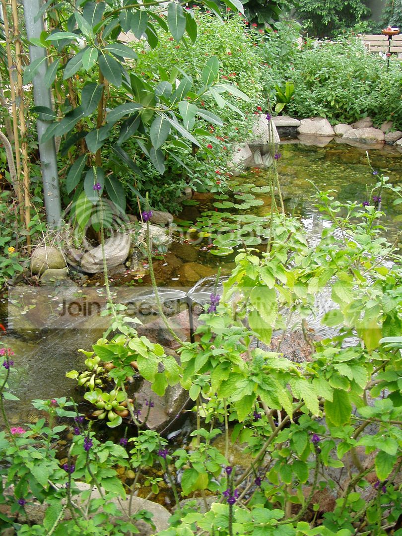 fountain.jpg