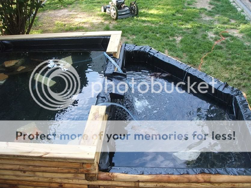 DSCF4797.jpg