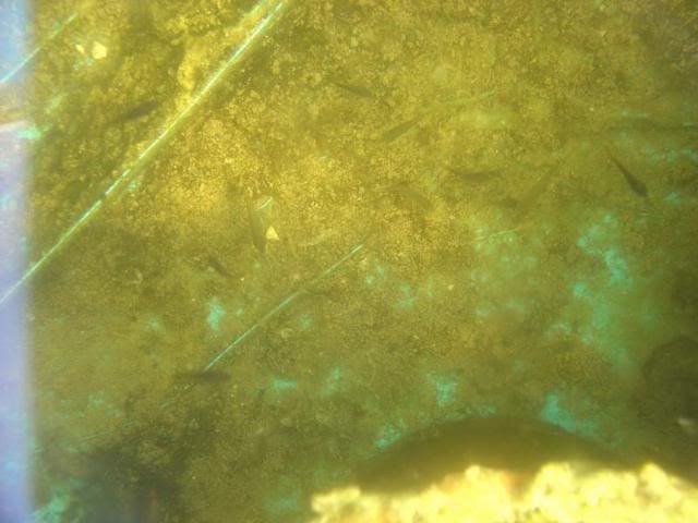 DSC04366.jpg