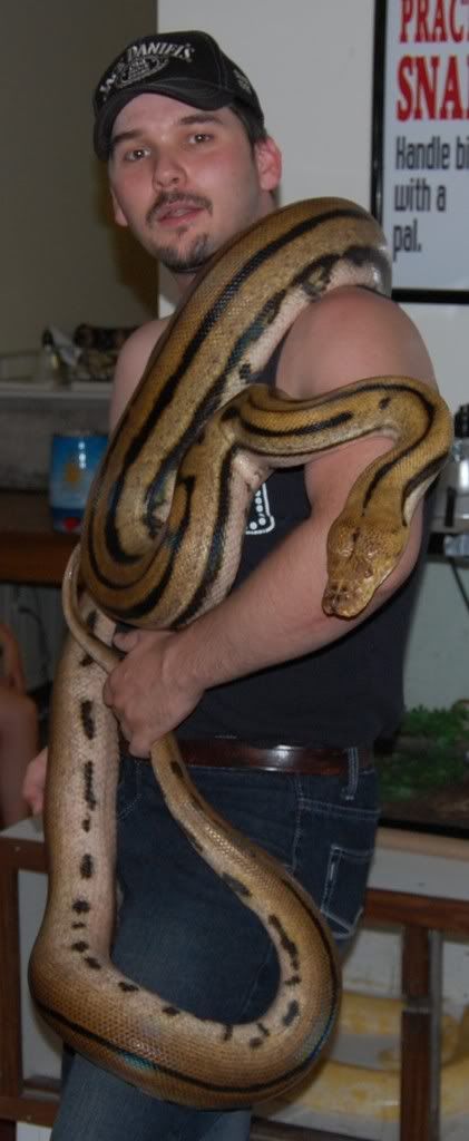 Retics020.jpg