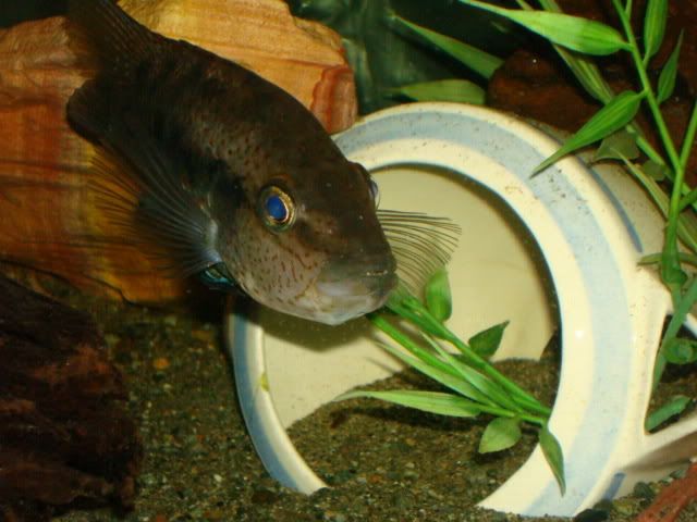 DSC01777.jpg