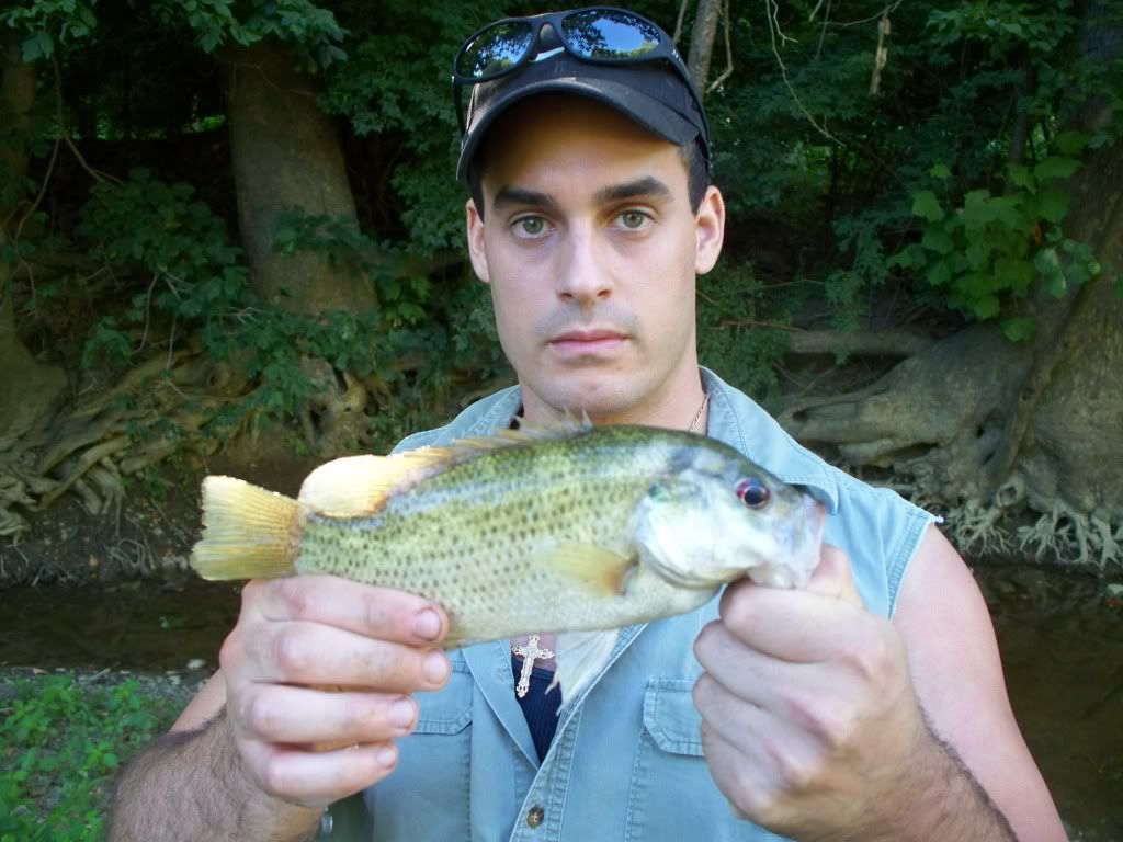 RockBassfrom12Mile.jpg