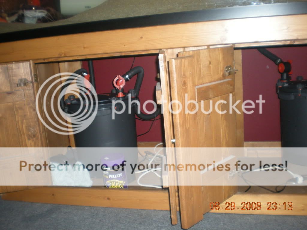 DSCN0817.jpg