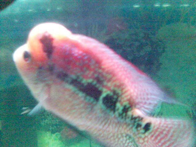 Pictu003.jpg