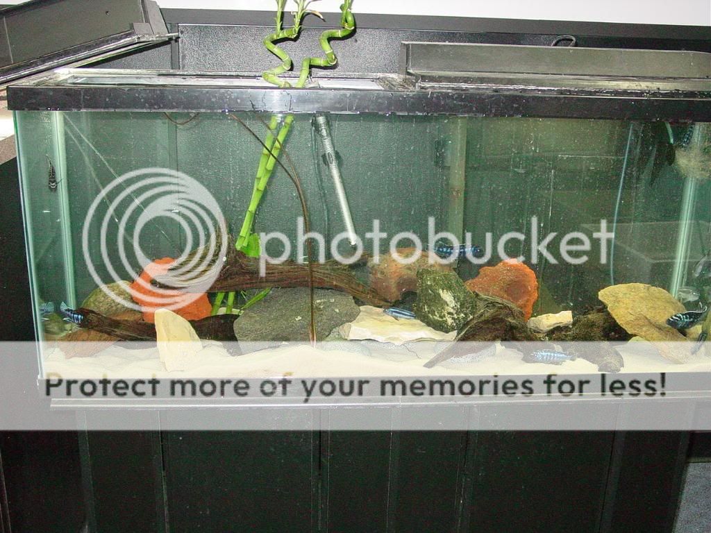 DSC08864.jpg