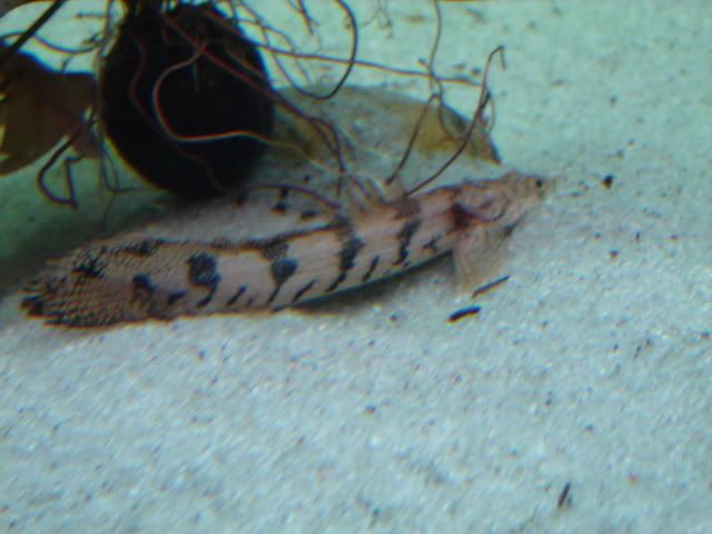 DSC05406.jpg