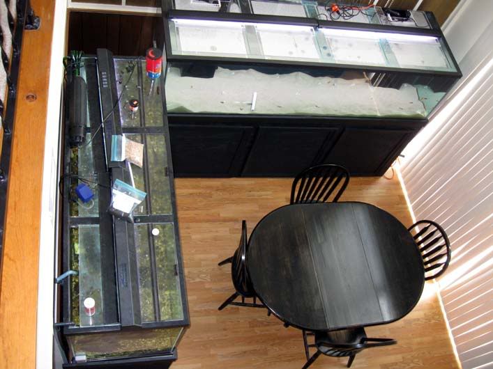 diningroom5.jpg