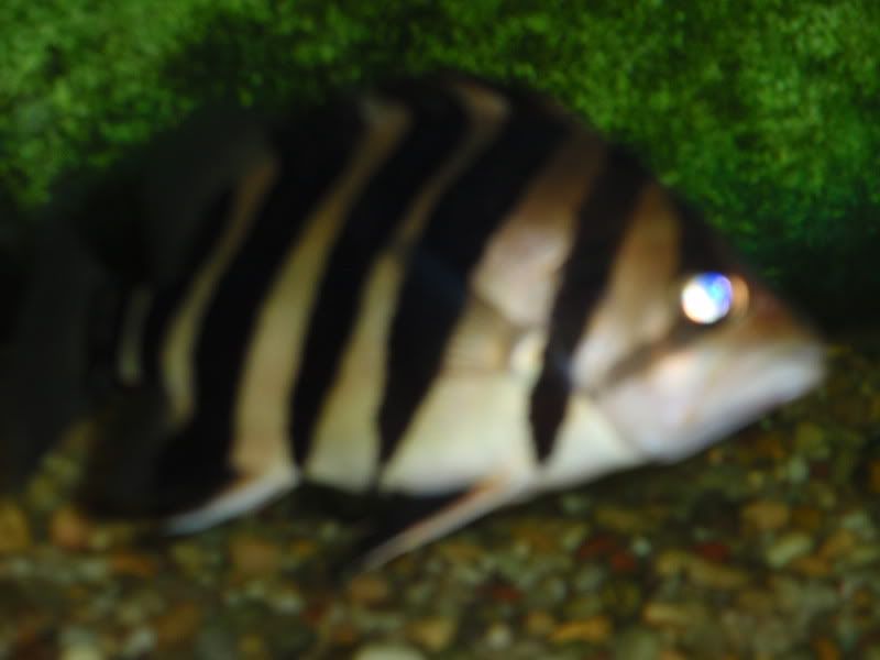 P7220015.jpg