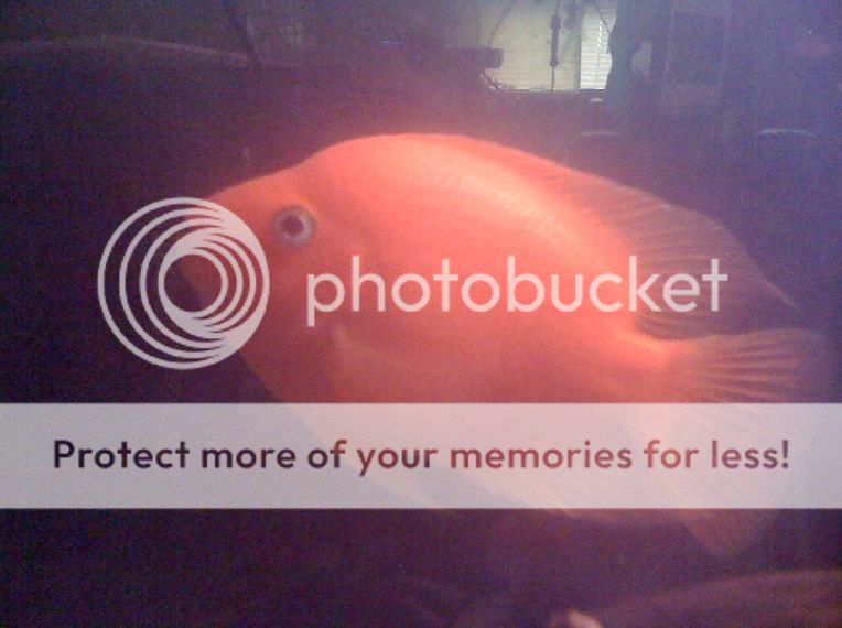 Picture183.jpg