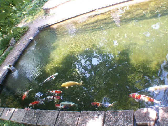 014.jpg