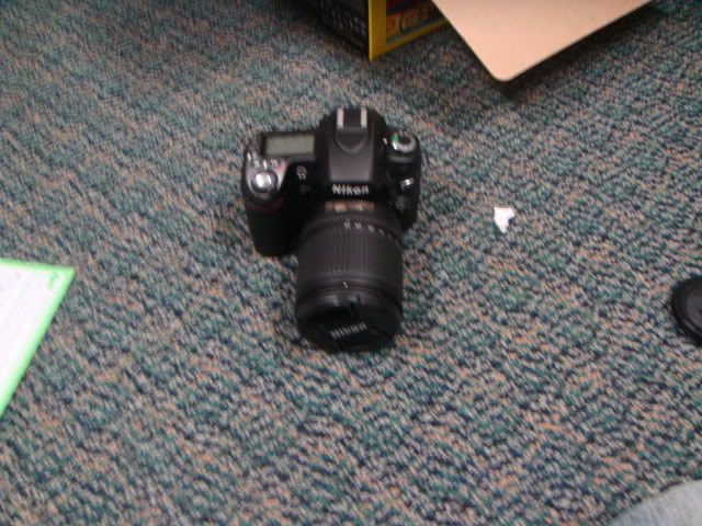 DSC01138.jpg