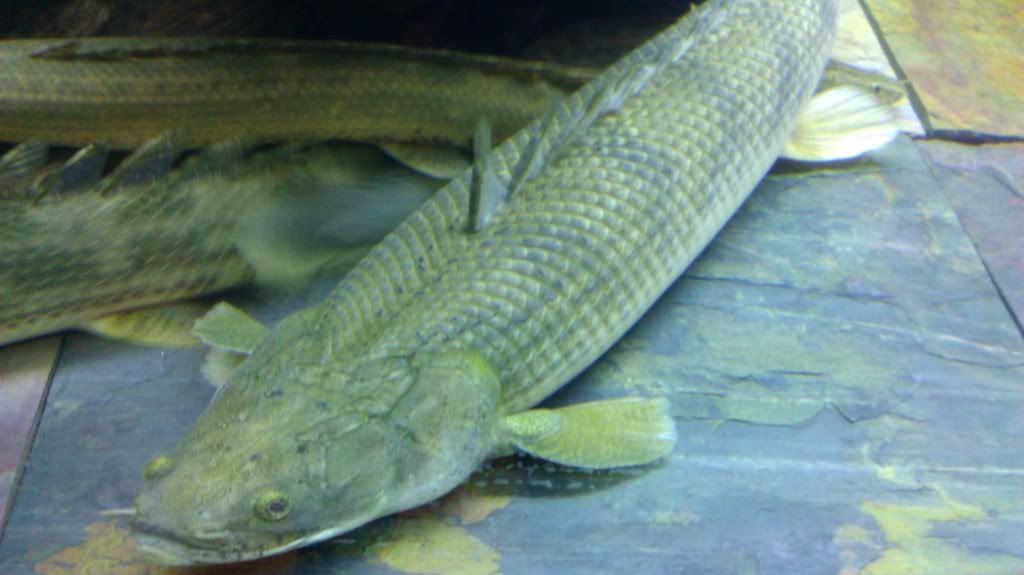 IMAG0930.jpg