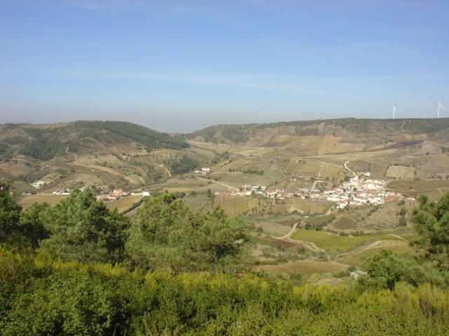 DSC08524.jpg