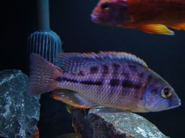 DSC01614.jpg