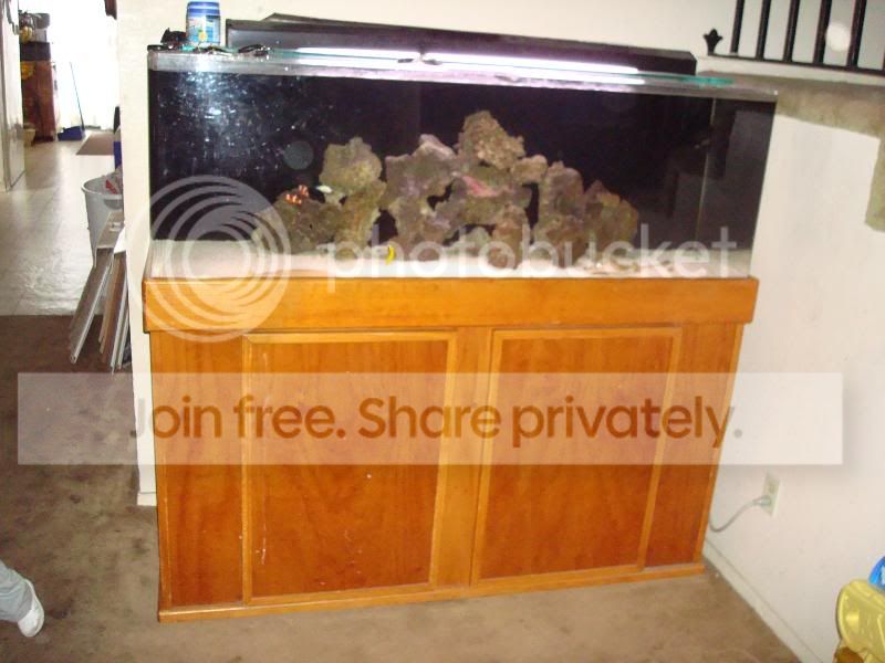 swtank2.jpg