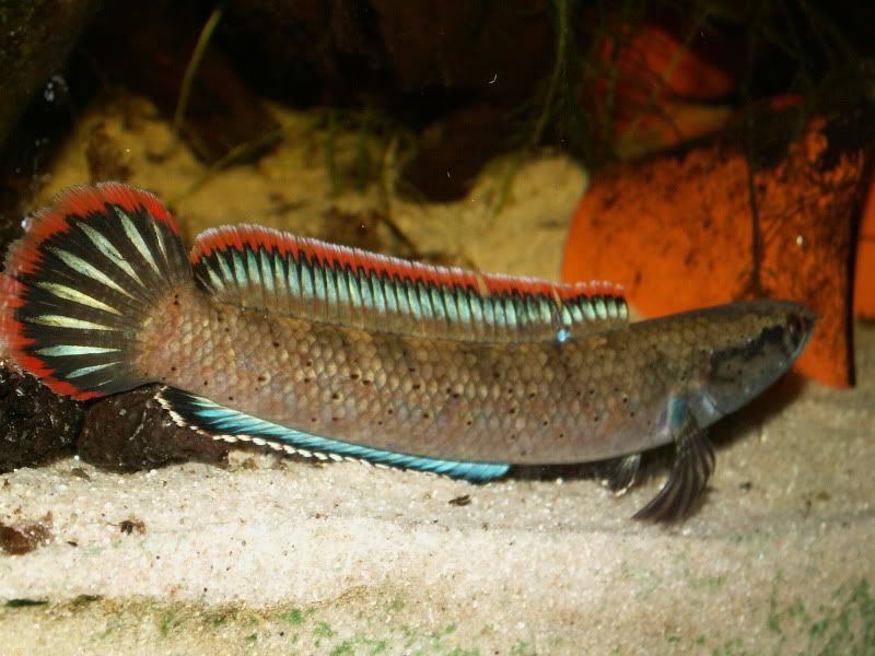 PICT0128.jpg