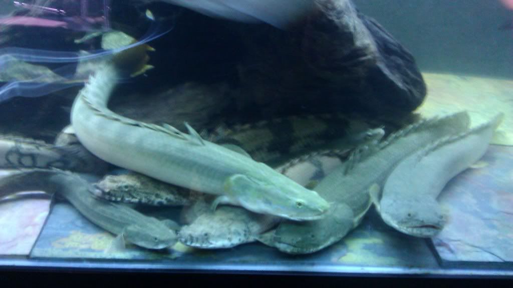 IMAG0751.jpg