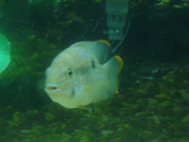 DSC00510.jpg